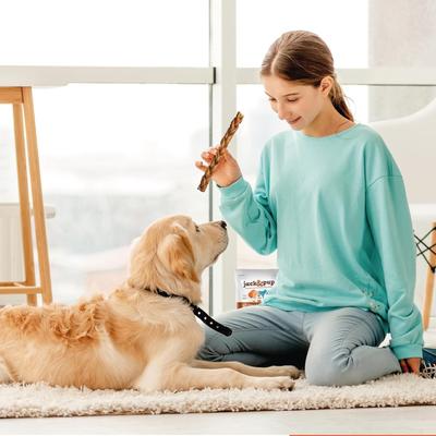 Long Lasting 12-inch Braided Beef Collagen Stick Dog Chews