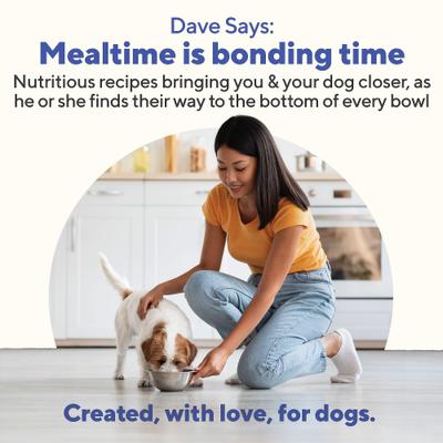 Naturally Healthy Chicken & Rice Recipe Pate Canned Wet Dog Food, 13.2-oz can, case of 12