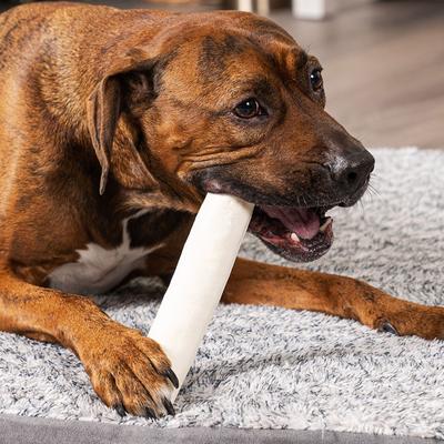 Beefhide 8-inch Rolls Natural Flavored Dog Hard Chews, 15 count