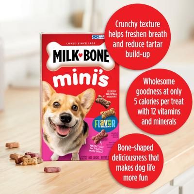 Bundle: Milk-Bone Mini's Flavor Snacks Beef, Chicken & Bacon Flavored Biscuit Treats, 36-oz tub + Beef, Chicken & Bacon Flavored Biscuit Dog Treats, 35-oz, case of 2