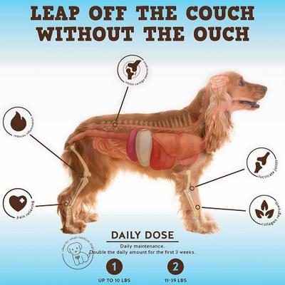 Bark Buddies Flex-Agility Hip & Joint Dog Supplement, 60 count