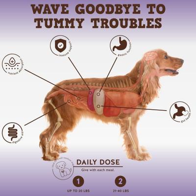 Bark Buddies Pro-Digest Dog Supplement, 60 count