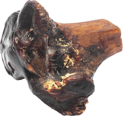 Large Gnawkle Cape Ostrich Dog Treat, 1 count