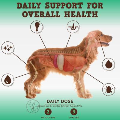 Bark Buddies Aller-Care Dog Immune Supplement, 60 count