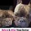 French Bulldog Nose Butter, 0.5-fl oz