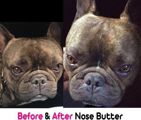 French Bulldog Nose Butter, 0.5-fl oz