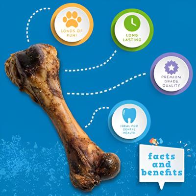 Pork Femur Bone Dog Treats, 2 count