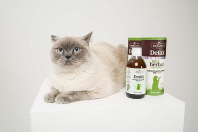 Natural Detox Dietary Cat Supplement, 8.45-fl oz bottle