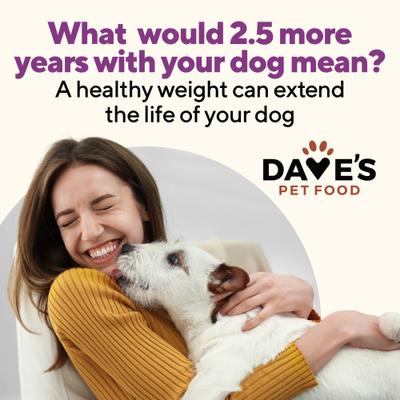 Weight Management Turkey & Vegetables Recipe Pate Wet Canned Dog Food,13.2-oz can, case of 12