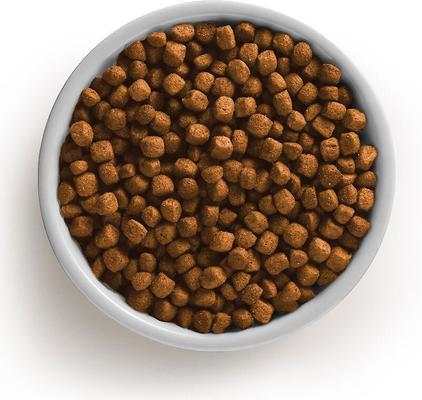 Bundle: Rachael Ray Nutrish Turkey, Brown Rice & Venison Recipe Dry Food + Soup Bones Chicken & Veggies Flavor Dog Treats