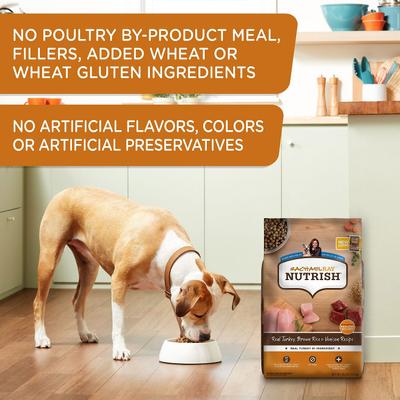 Bundle: Rachael Ray Nutrish Turkey, Brown Rice & Venison Recipe Dry Food + Soup Bones Chicken & Veggies Flavor Dog Treats