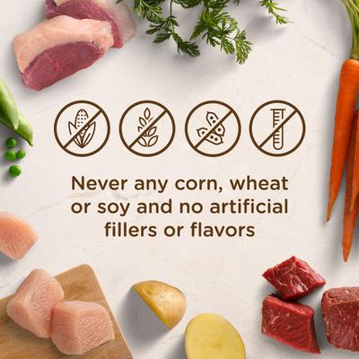 Paquete: Alimento seco Rachael Ray Nutrish con carne de res real, guisantes y arroz integral + Paquete variado de alimento húmedo para perros