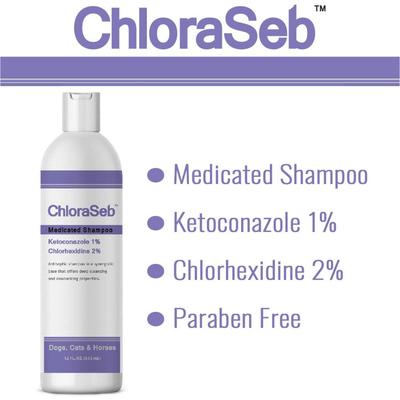 Champú antiséptico para perros, botella de 12 oz