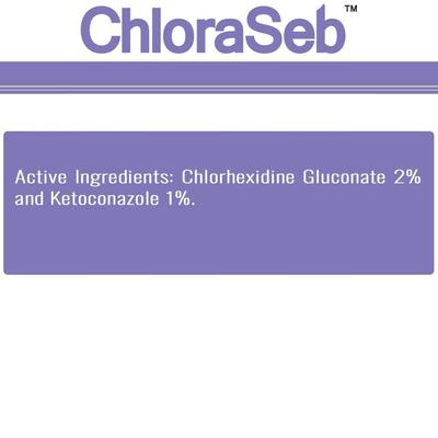 Antiseptic Dog Shampoo, 12-oz bottle