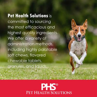 Antiseptic Dog Shampoo, 12-oz bottle