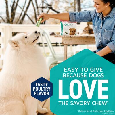 Hygiene Dental Chews for X-Small Dogs, Up to 10-lbs., 14 count