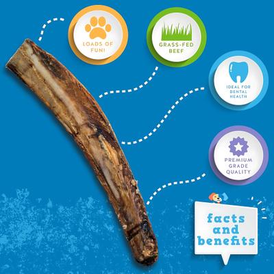 Beef Rib Bone 6-in Dog Treats, 5 count