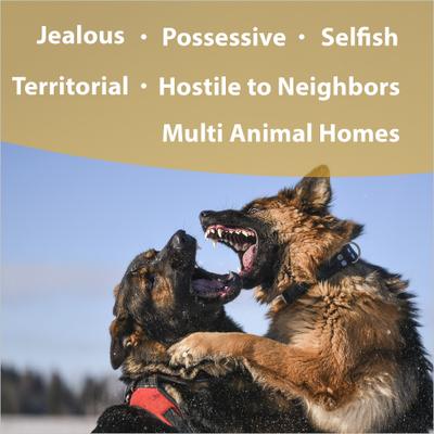 Sibling Rivalry Calming Pet Supplement, 1-fl oz bottle