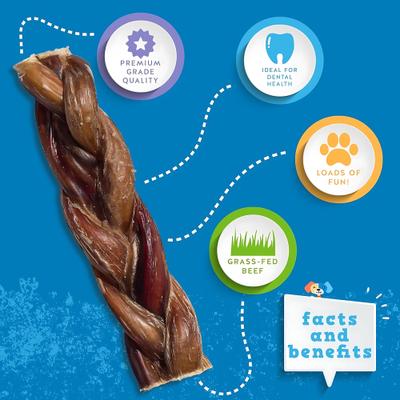 Odor Free 6" Braided Beef Bully Stick, 1 count