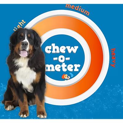 Odor Free 6" Jumbo Beef Bully Stick, 1 count