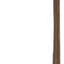 Odor Free 36" Natural Beef Bully Stick, 1 count