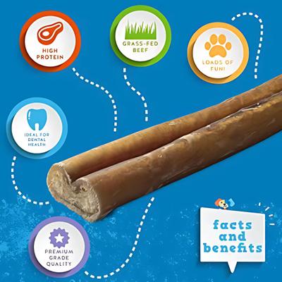 Odor-Free 6" Thick Beef Bully Sticks, 1 count