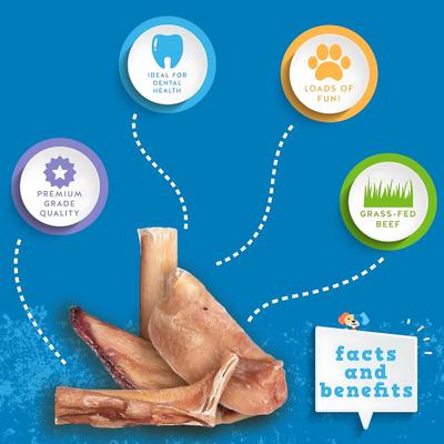 Bully Bites Dog Treats, 2-lb bag