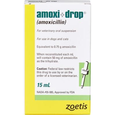 Amoxi-Drop (amoxicilina) en polvo para suspensión oral para perros y gatos, 50 mg, 15 ml