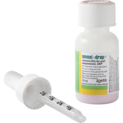 Amoxi-Drop (amoxicilina) en polvo para suspensión oral para perros y gatos, 50 mg, 15 ml