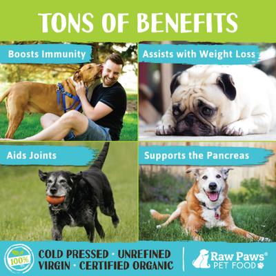 Organic Virgin Coconut Oil for Dogs & Cats, Skin & Coat Support Supplement, 16-oz jar