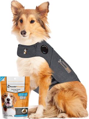 Bundle: ThunderShirt Classic Anxiety & Calming Vest, Heather Grey, X-Small + ThunderWunders Melatonin Dog Chews