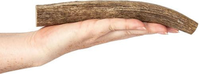 Golosinas para perros de asta de alce entera, 1 unidad, tamaño grande