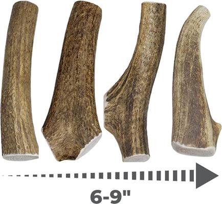 Golosinas para perros de asta de alce entera, 1 unidad, tamaño grande