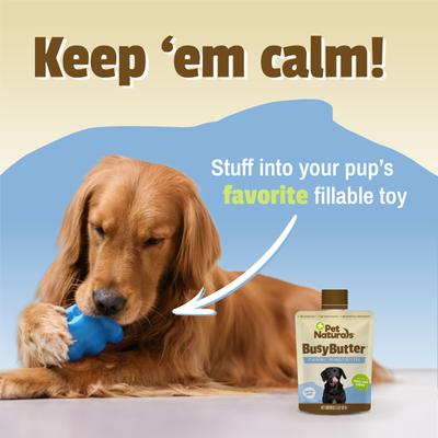 BusyButter Easy Squeeze Peanut Butter Flavored Paste Calming Supplement for Dogs, 6-oz pouch