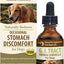 G.I. Tract Liquid Digestive Supplement for Dogs, 2-fl oz bottle