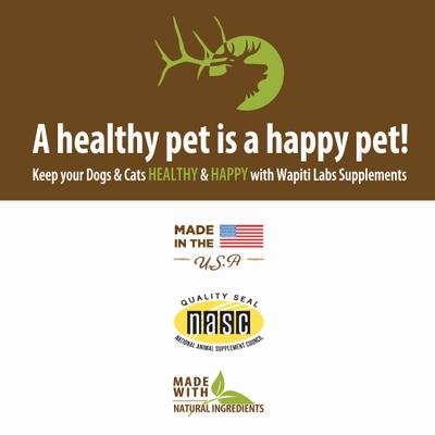 G.I. Tract Liquid Digestive Supplement for Dogs, 2-fl oz bottle