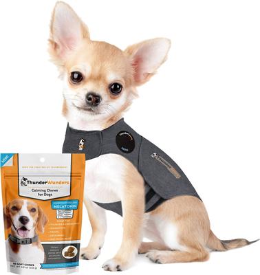 Bundle: ThunderShirt Classic Anxiety & Calming Vest, Heather Grey, X-Small + ThunderWunders Melatonin Dog Chews