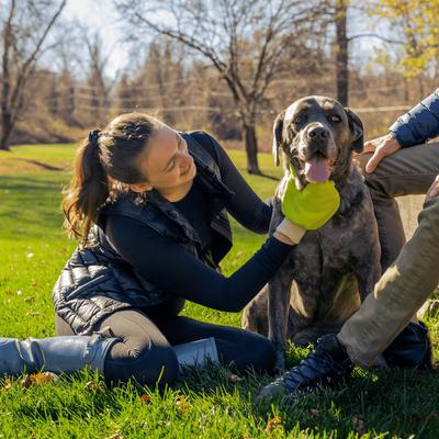 Microfiber Tick Remover for Dogs & Cats, Yellow