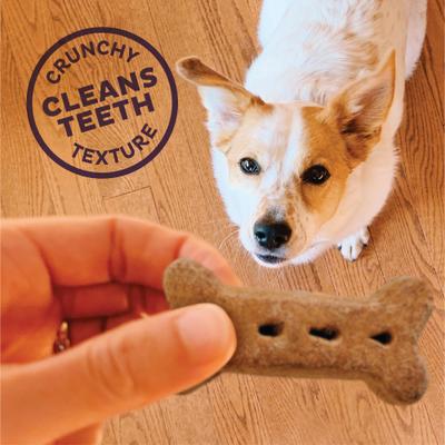by Wellness Classic Bac'N'Cheez Natural Large Oven-Baked Biscuits Dog Treats, 3.3-lb bag