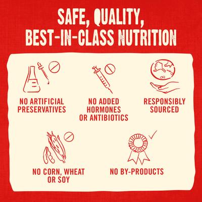 Raw Coated Biscuits Cage-Free Duck Recipe Freeze-Dried Grain-Free Dog Treats, 9-oz bag, bundle of 2