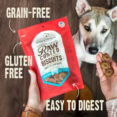 Raw Coated Biscuits Cage-Free Duck Recipe Freeze-Dried Grain-Free Dog Treats, 9-oz bag, bundle of 2