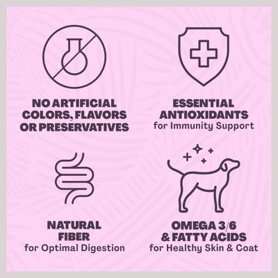 Puppy Chicken & Vegetable Asado Dog Food, 4.5-lb bag