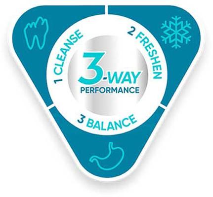 Bundle: Virbac C.E.T. VeggieDent Fr3sh for Small Dogs + Dental Chews for Large Dogs