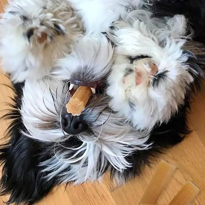 yakyCHURRO Real Bacon Flavor Dog Treats, 4 count