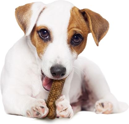 Natural Nubz Chicken Dog Treat, Small, 8 count