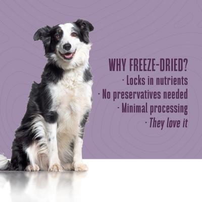 Nature's Remedy Skin & Allergy Support Whole Food Dog Supplement, 12-oz bag