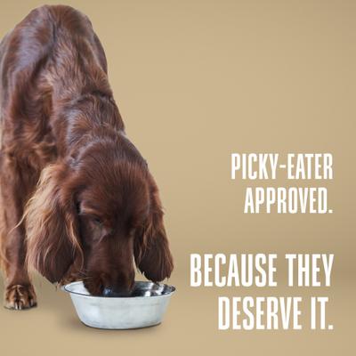 Nature's Remedy Skin & Allergy Support Whole Food Dog Supplement, 12-oz bag