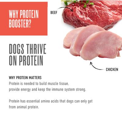 Born Carnivore Protein Booster Chicken & Beef Recipe in Broth Grain-Free Dog Food Topper, 2.1-oz pouch, case of 12