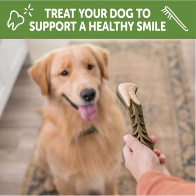 by Wellness Brushzees Dental Chews Natural Grain-Free Dental Dog Treats, Large, 6 count