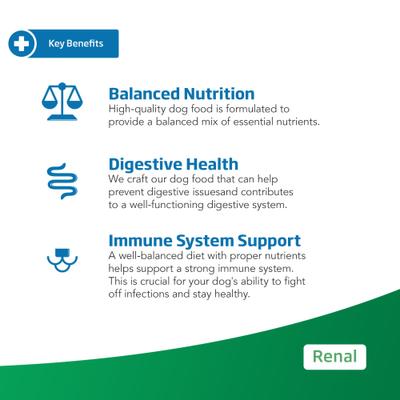 Renal Recipe Wet Dog Food, 10.6-oz can, case of 6